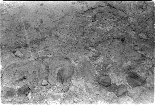 Rock art near Rancho San Gregorio