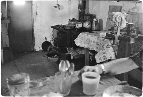 Kitchen at Rancho Carrizito