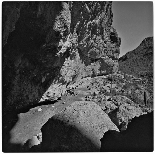 Rock art panels at Cueva de la Navidad