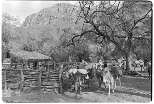 Corral at Rancho San Estanislao