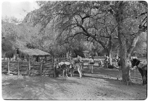 Corral at Rancho San Estanislao