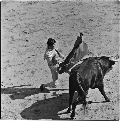 Bullfighting at La Plaza de Toros El Toreo de Tijuana