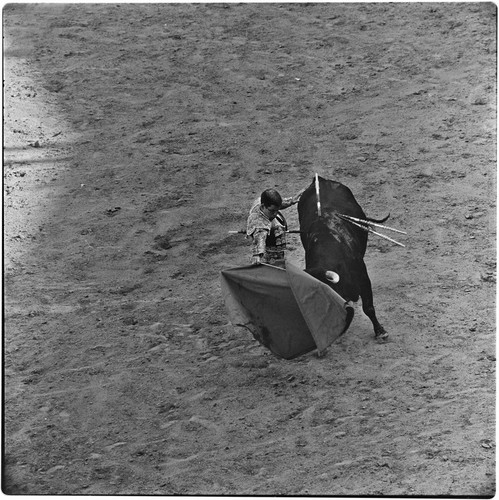 Bullfighting at La Plaza de Toros El Toreo de Tijuana