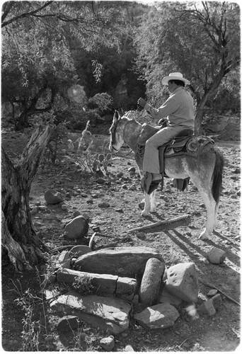 Agave roasting area in Rancho San Martín area