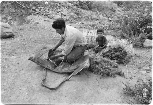 Francisco Arce stuffing ranch-made packsaddles with fresh straw at Rancho San Gregorio