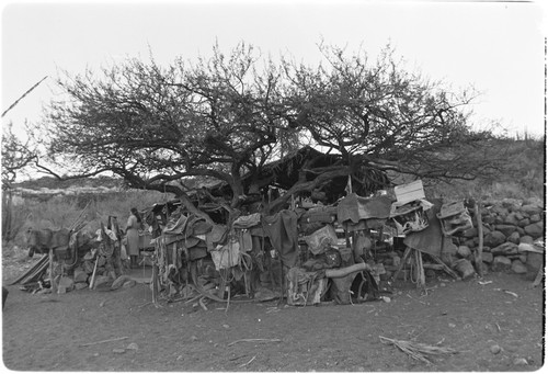 Saddle gear area at Rancho Las Jícamas