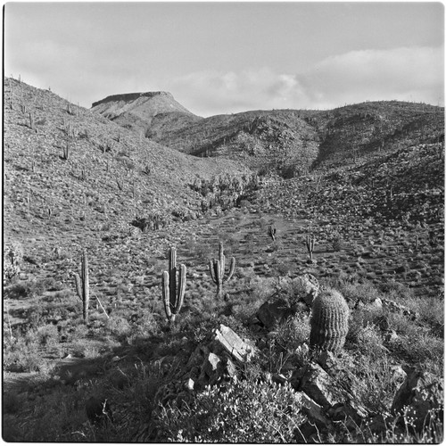 Arroyo El Portezuelo in the Sierra de San Pedro Mártir