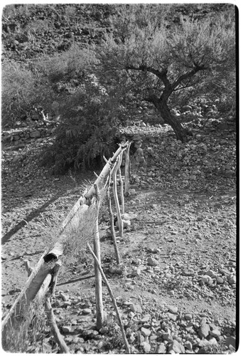 Flume at Rancho San Gregorio