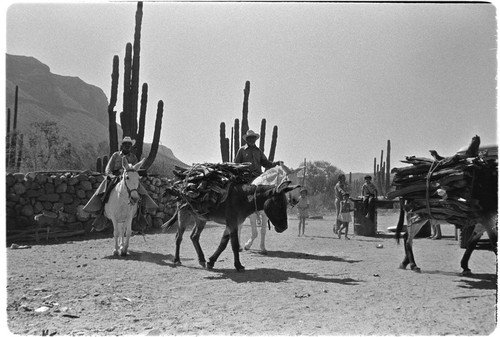 Wood collecters at Rancho Carrizito