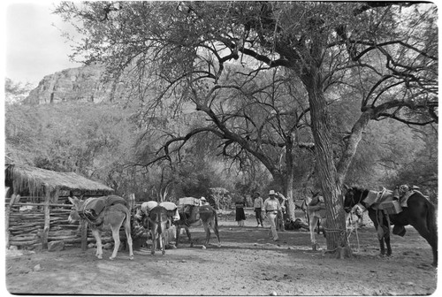 Corral at Rancho San Estanislao