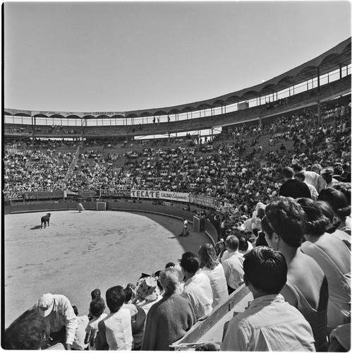 La Plaza de Toros El Toreo de Tijuana