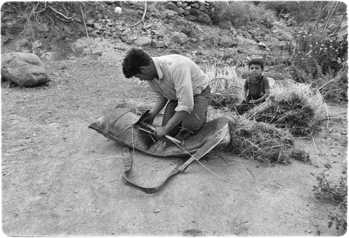 Francisco Arce stuffing ranch-made packsaddles with fresh straw at Rancho San Gregorio