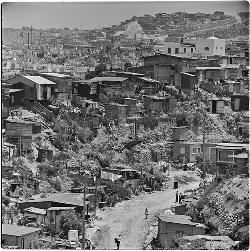 A canyon in the western sector of Tijuana, typical of the irregular settlements of the city