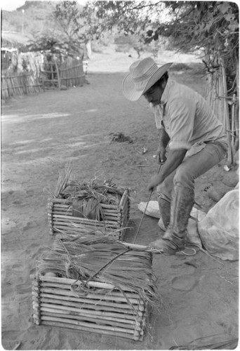 Cheese being packed for transport