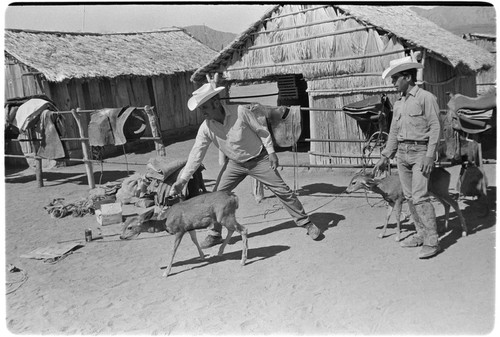 Geronimo Lopez Arce, left, and Antonio Lopez Arce with domesticated deer at Rancho Carrizito