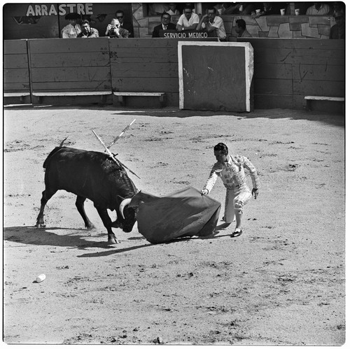 Bullfighting at La Plaza de Toros El Toreo de Tijuana