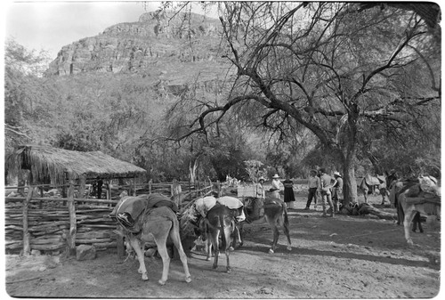 Corral at Rancho San Estanislao