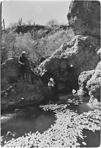 Water source at Rancho Las Jícamas