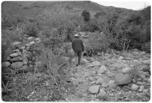 Loreto Arce working in his garden at Rancho San Gregorio