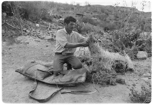 Francisco Arce stuffing ranch-made packsaddles with fresh straw at Rancho San Gregorio