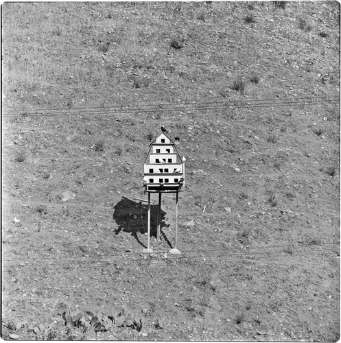 Birdhouse in field