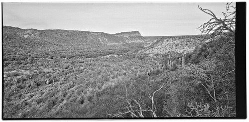 Comondú Viejo, looking northwest