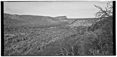 Comondú Viejo, looking northwest