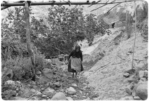 Joséfa Arce Sandoval watering at Rancho San Gregorio