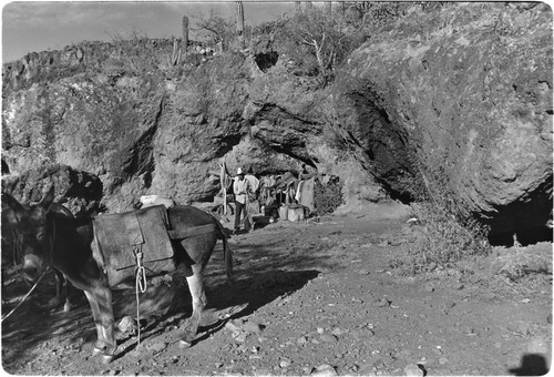 Camp at Rancho Las Jícamas