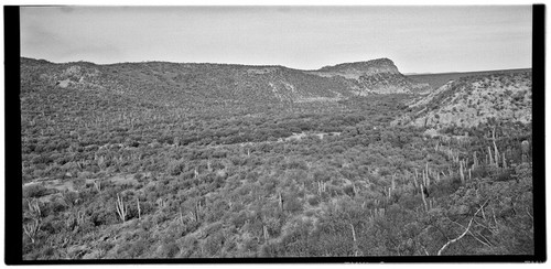 Comondú Viejo, looking northwest