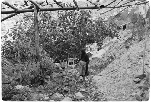 Joséfa Arce Sandoval watering at Rancho San Gregorio