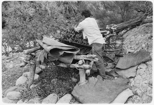 Francisco Arce tanning leather at Rancho San Gregorio