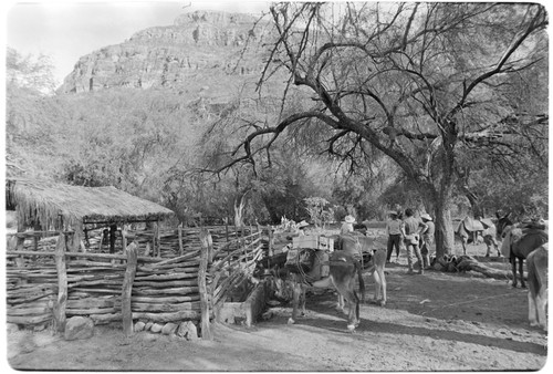 Corral at Rancho San Estanislao