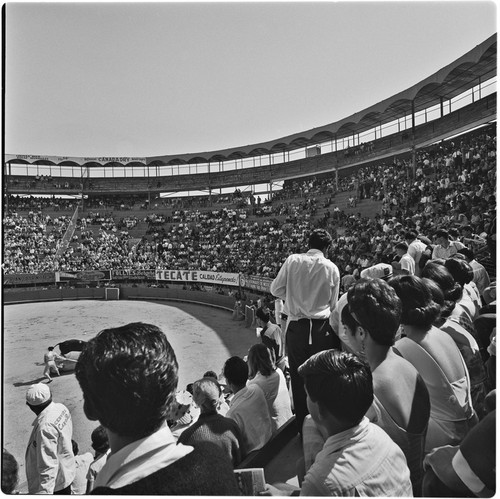 La Plaza de Toros El Toreo de Tijuana