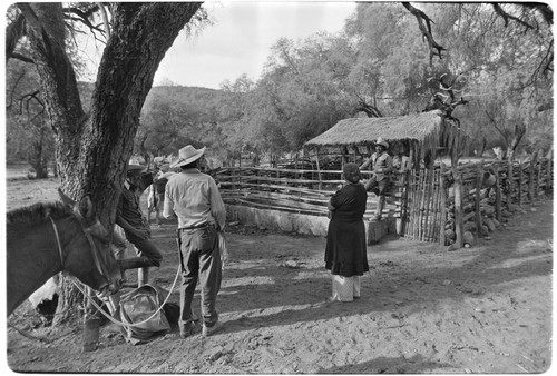 Corral at Rancho San Estanislao