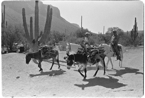 Wood collecters at Rancho Carrizito