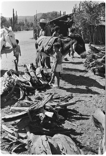 Wood collectors at Rancho Carrizito