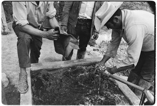 Francisco Arce washing leather at Rancho San Gregorio