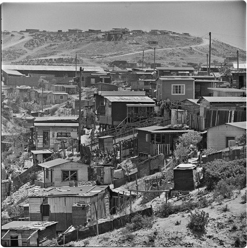 A canyon in the western sector of Tijuana, typical of the irregular settlements of the city