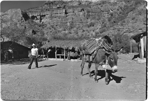 Cheese heading to market from Rancho La Vinorama