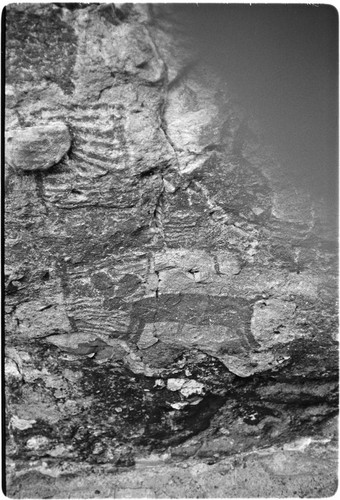 Rock art near Rancho San Gregorio