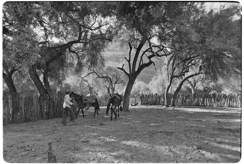 Corral at Rancho San Estanislao