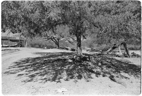 Rancho Los Pozos