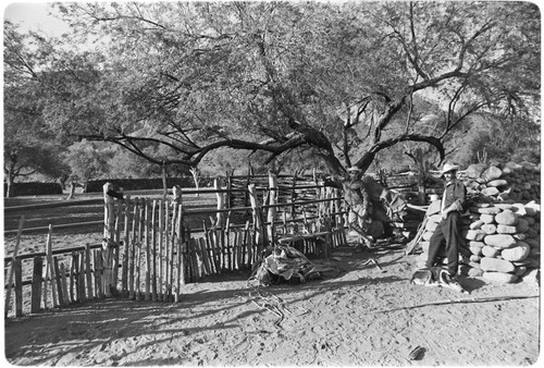 Corrals at Rancho Las Tinajitas in the Mulegé region