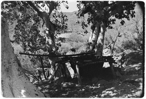 Leather tanning vats at Rancho San Gregorio