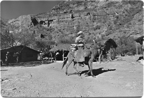 Rancher at Rancho La Vinorama