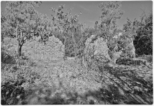 Adobe ruin at Real de Santa Ana