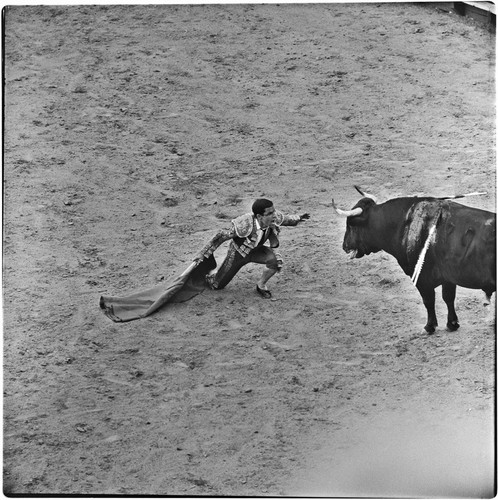 Bullfighting at La Plaza de Toros El Toreo de Tijuana