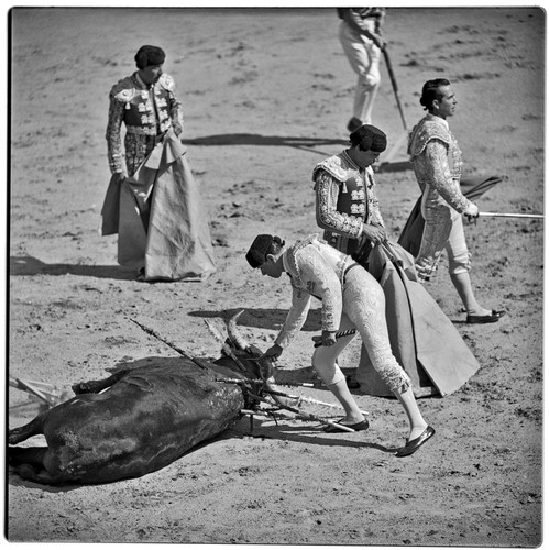 Bullfighting at La Plaza de Toros El Toreo de Tijuana