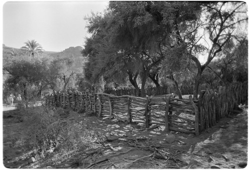 Corral at Rancho San Estanislao